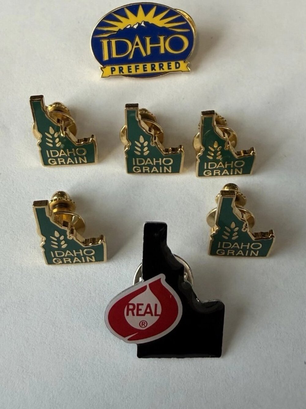 Lot of 7 Vintage Idaho Pins Assorted